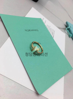 티파니앤코 반지 (컬러 화이트, 블루)