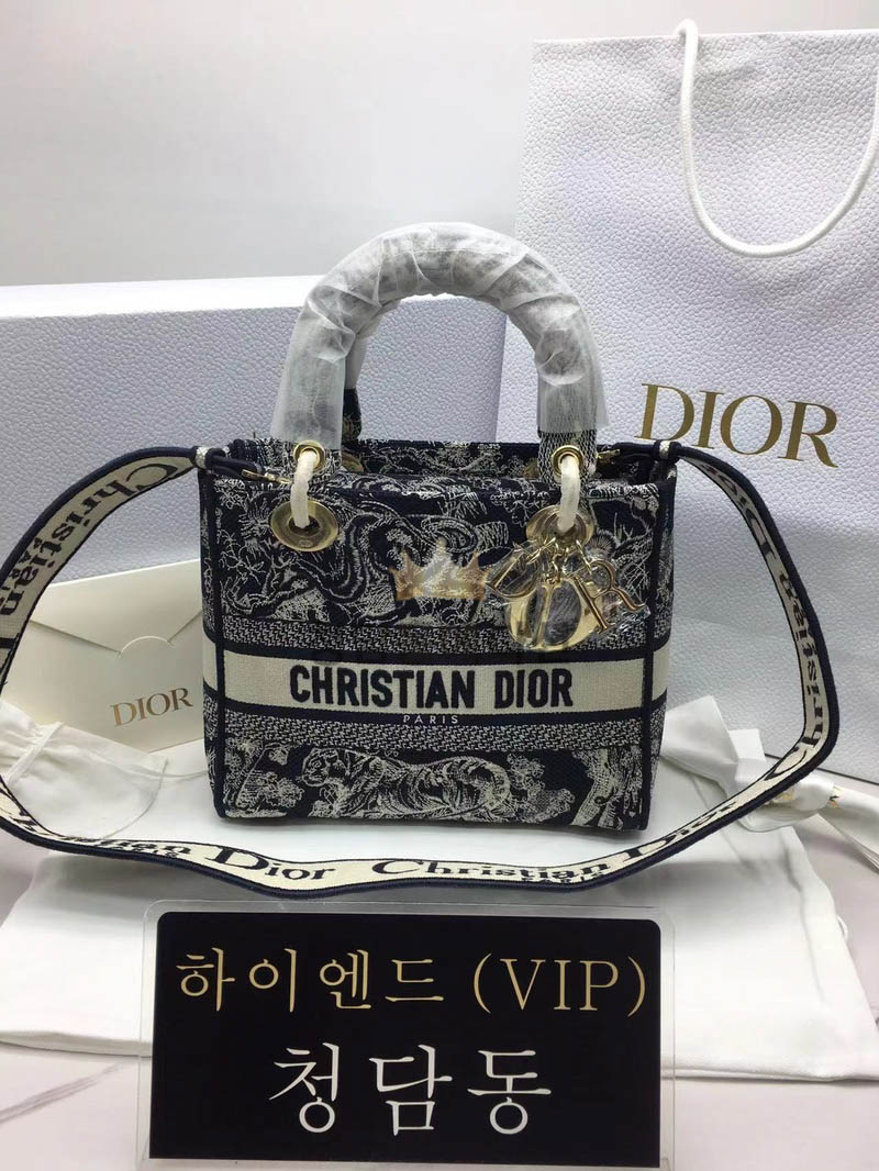디올 레이디 D LITE 백 미디움